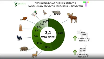 Дикие рекорды»: 10 животных, которые прыгают дальше всех | Заметки о  животных | Дзен