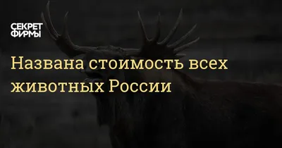 Эмпробио кормовая добавка для всех животных 100мл купить, цена в ветаптеке  \"Багира\" Симферополь, Крым