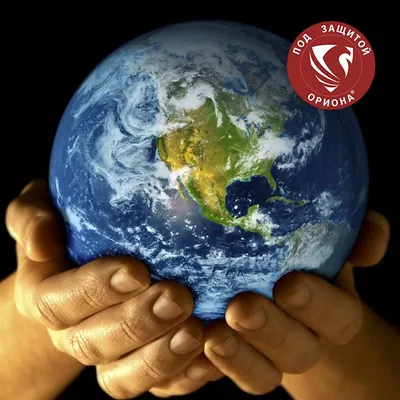 Сегодня Всемирный день Земли и Международный день счастья. Все о 20 марта  2021, приметы и запреты | GreenPost