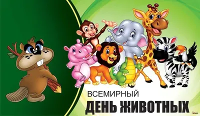 30 ноября — Всемирный День домашних животных | ВКонтакте