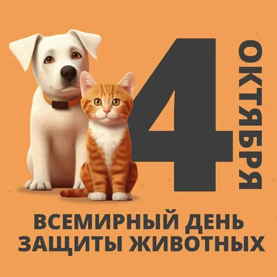 30 ноября – всемирный день домашних животных! » Осинники, официальный сайт  города