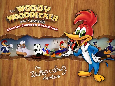 Худи женский дятел Вуди Вудпекер (Woody Woodpecker) Кенгуру (8921-2871)  Черный (ID#1509541570), цена: 1695 ₴, купить на Prom.ua