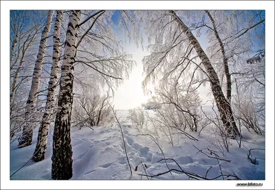 обои высокого разрешения зимы Стоковое Фото - изображение насчитывающей  затишье, свет: 234093430