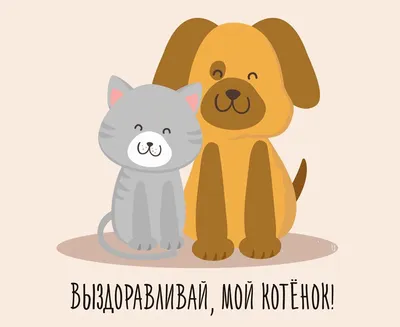 Смс подруге выздоравливай стихи подруге выздоравливай - лучшая подборка  открыток в разделе: Подруге на npf-rpf.ru