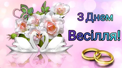 Євген та Ксенія Кошові відзначають 15 річницю весілля - «ФАКТИ»