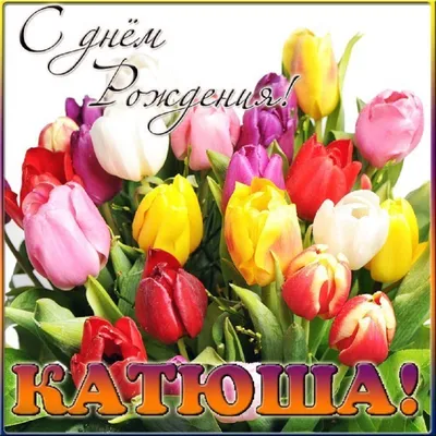 С дени рождения, дорогая Катенька!🤗💝🥰💝🎁🌹🌹🌹благодарю за ❤️🙏🌷 |  TikTok