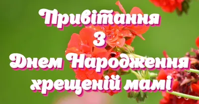 Привітання з днем народження похресниці: проза, вірші, листівки - МЕТА