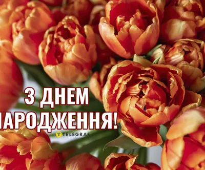 Pin by Myroslava on різні картинки | Happy anniversary, Happy birthday,  Congrats