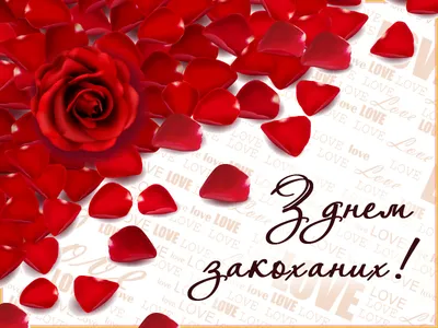 День святого Валентина 2020: красивые поздравления и открытки - «ФАКТЫ»