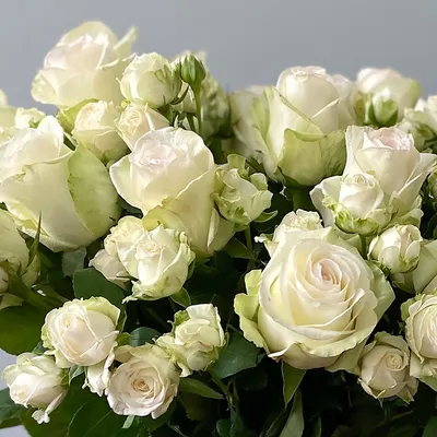 Букет из 49 красных эквадорских роз цена 7 350 грн купить букет с доставкой  по Львову - Kvitna - Роза Красный