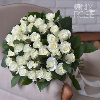 Букет из 31 белой микс розы - заказать и купить цветы с доставкой | Donpion