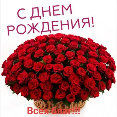 Купить 25 красных и белых роз Ровно | UFL