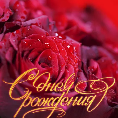 Красные розы с датой от 51 шт. за 10 690 руб. | Бесплатная доставка цветов  по Москве