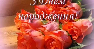 Красивые розы на день рождения открытки, поздравления на cards.tochka.net