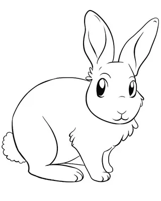 Раскраски Раскраска Рисунок зайца , скачать распечатать раскраски.