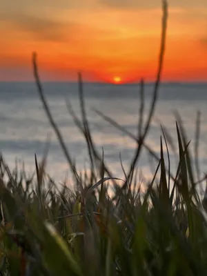 красивые цвета заката над побережьем района аллердейл в кумбрии ук. закат  над берегом залива аллонби Стоковое Фото - изображение насчитывающей закат,  берег: 217796352