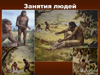 Интерактивные занятия о мире древних людей «Жизнь в каменном веке»