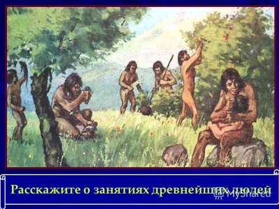 Опираясь на собственные знания и на рисунки, опишите основные антин древних  людей Казахстана. - Школьные Знания.com