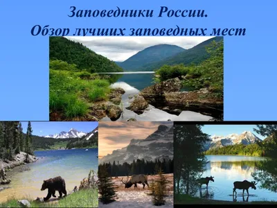 Природные заповедники России (53 фото) - 53 фото