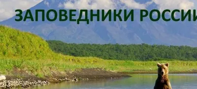 Самые удивительные заповедники России | МУК \"РМЦБ\"