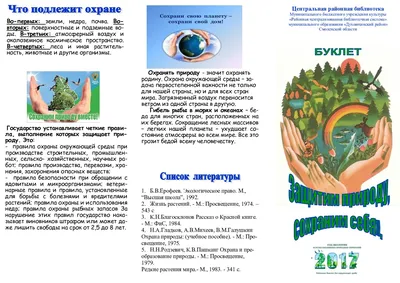 Блог 4\"Б\" класса МБОУ СОШ г. Пионерского Калининградской области: Урок  окружающего мира. Проект \" Защитим свою Планету!\"
