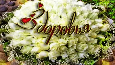 Картинки с надписями. Здоровья тебе хорошего и настроения пригожего!.