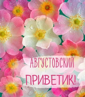 Здравствуй, август!. Картинки крымского лета от @krimoved - Лента новостей  Крыма