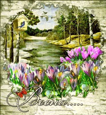 Здравствуй, Весна! :: Татьяна Смоляниченко – Социальная сеть ФотоКто