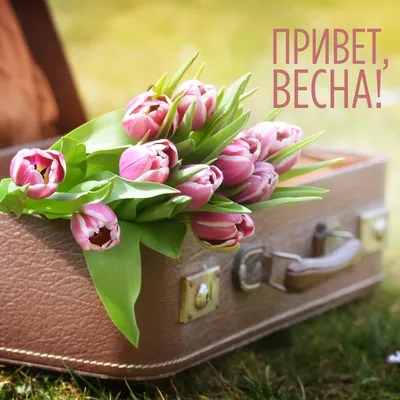 Привет, Весна! (Наташа Мишина) / Стихи.ру