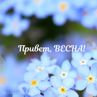 Здравствуй, Весна-Красна! Детям о природе и временах года в стихах -  Издательство «Планета»