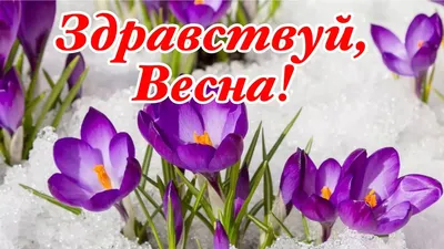 Прощай Зима, Здравствуй Весна! Музыка Сергей Чекалин! Поздравление С Первым  Днём Вёсны! 1 Марта - YouTube