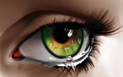Картинки зеленые глаза на телефон