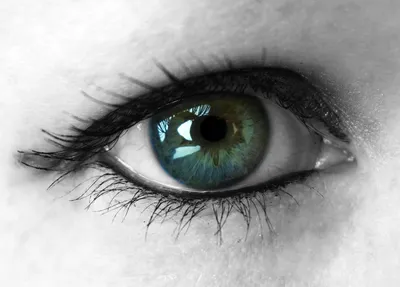 Глаза, Синие, Косметика - обои на телефон, | ТОП Бесплатно фото