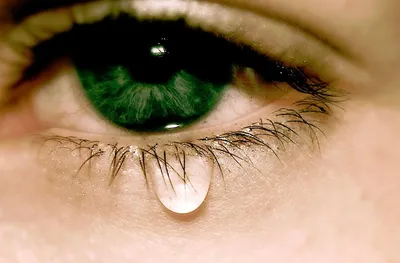Картинки зеленые глаза со слезами