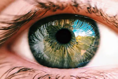 Что ваш цвет глаз может рассказать о вашем характере🔥 | Женское здоровье и  секс | Дзен