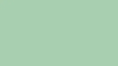 Светло-Зеленый Фон Бумажный Creativity 63 Summer Green 2.72x11m. Цена 2 476  грн. Купить в Киеве, Украина