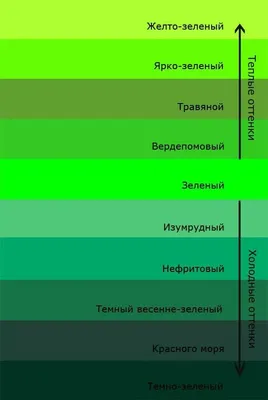 Цветы зеленого цвета - лучший антистресс