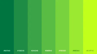 Зеленый цвет – наш главный герой: почему мы видим больше оттенков зеленого,  чем других цветов? | Факты от Нейросети | Дзен