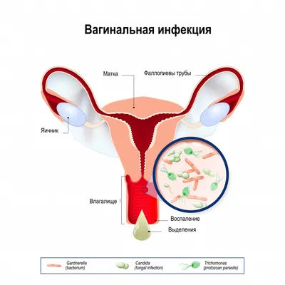 Искусство любви [Михалина Вислоцкая] (fb2) читать онлайн | КулЛиб  электронная библиотека