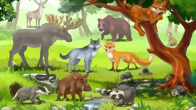 Животные леса, следы животных - карточки Монтессори купить и скачать