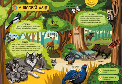 Иллюстрация 6 из 9 для Плакат \"Животные леса и тайги\" (2687) | Лабиринт -  книги. Источник: Машамамамальчиков