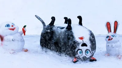 Видео. Животные в снегу | Euronews
