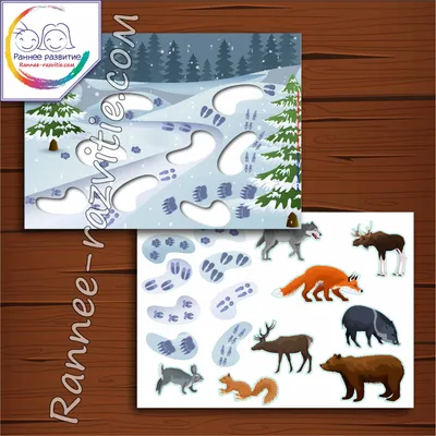 картинки : дерево, природа, лес, снег, зима, средство передвижения, Лошадь,  Погода, время года, Животные, Шезлонг, голова лошади, белая лошадь, Вьючное  животное, галоп, Сутенер мои сани, катание на санях, Конь как млекопитающее  3888x2592 - -