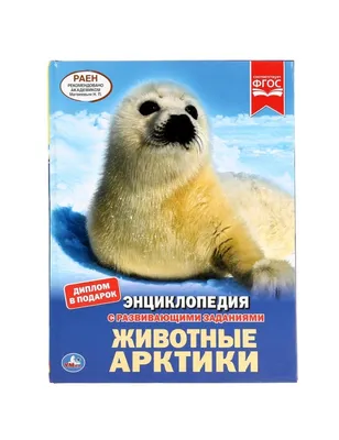 BOONI Фигурки животных Арктики