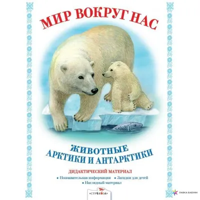 Комплект «Животные Арктики» — Marivanna.store