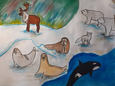 Иллюстрация 1 из 6 для Животные Арктики. Книжка-раскраска с наклейками - А.  Андреева | Лабиринт - книги.