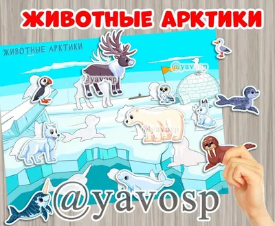 Derri Animals Набор фигурок Животные Арктики и Антарктики 8 шт. 85130DA