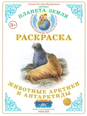 Книга Детская энциклопедия Умка «Животные Арктики» А4 с развивающими  заданиями 48 страниц - купить детской энциклопедии в интернет-магазинах,  цены на Мегамаркет | 978-5-506-04311-9