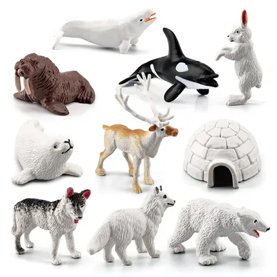 10 реалистичных моделей животных в стиле Арктики, реквизит, Мини фигурки,  модели игрушек на новый год, день рождения, рождественскую вечеринку |  AliExpress