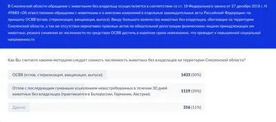 Без регистрации и SMS: как купить львенка в интернете